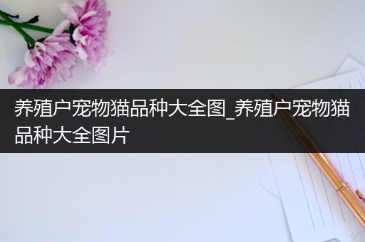 养殖户宠物猫品种大全图_养殖户宠物猫品种大全图片