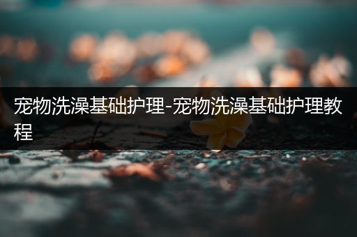 宠物洗澡基础护理-宠物洗澡基础护理教程