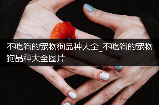 不吃狗的宠物狗品种大全_不吃狗的宠物狗品种大全图片