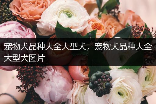宠物犬品种大全大型犬，宠物犬品种大全大型犬图片