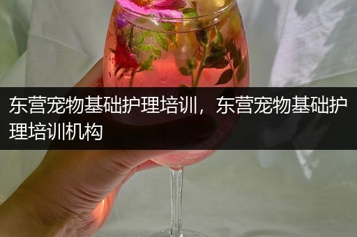 东营宠物基础护理培训，东营宠物基础护理培训机构