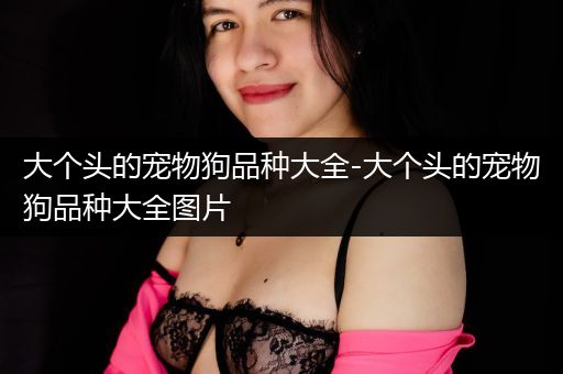 大个头的宠物狗品种大全-大个头的宠物狗品种大全图片