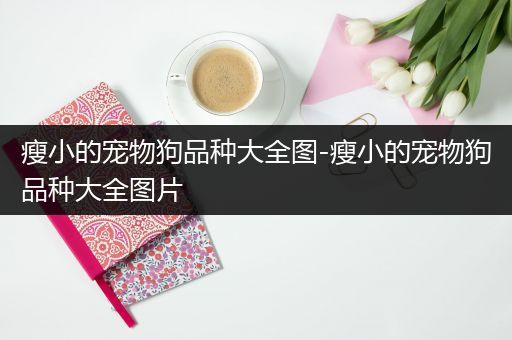 瘦小的宠物狗品种大全图-瘦小的宠物狗品种大全图片