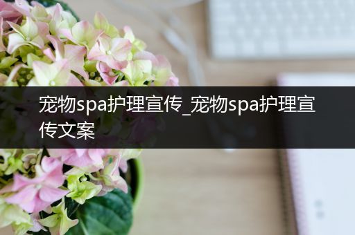 宠物spa护理宣传_宠物spa护理宣传文案