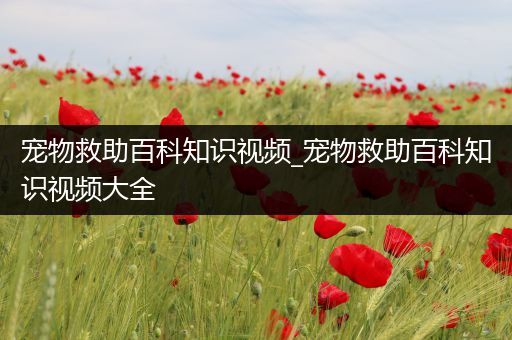 宠物救助百科知识视频_宠物救助百科知识视频大全