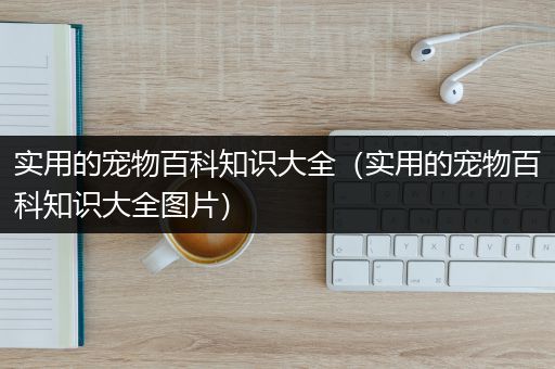 实用的宠物百科知识大全（实用的宠物百科知识大全图片）