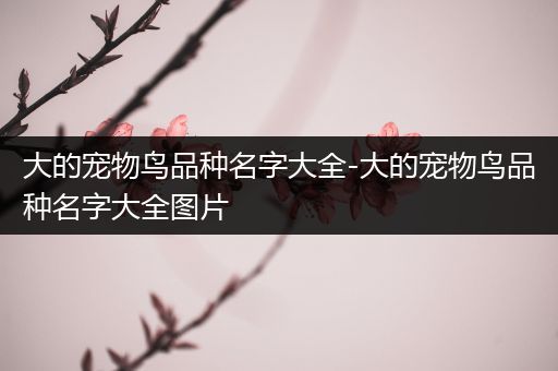 大的宠物鸟品种名字大全-大的宠物鸟品种名字大全图片