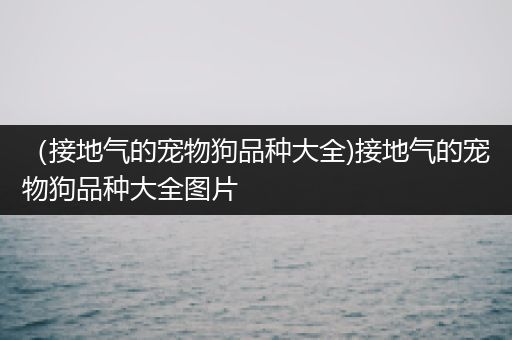 （接地气的宠物狗品种大全)接地气的宠物狗品种大全图片