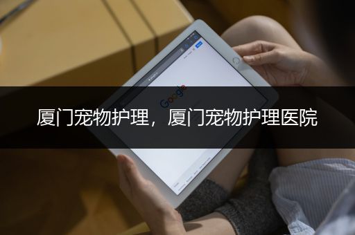 厦门宠物护理，厦门宠物护理医院