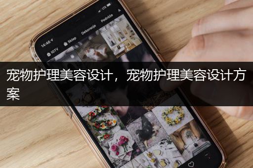 宠物护理美容设计，宠物护理美容设计方案