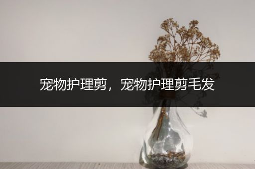 宠物护理剪，宠物护理剪毛发