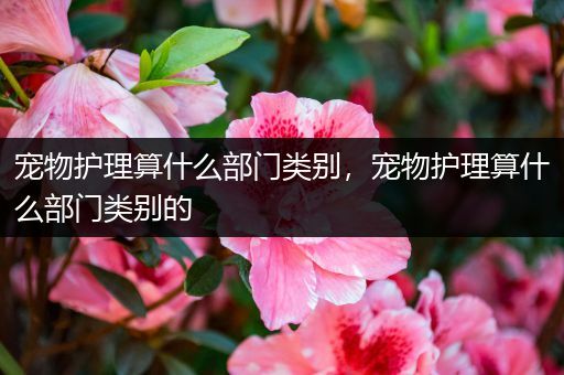 宠物护理算什么部门类别，宠物护理算什么部门类别的
