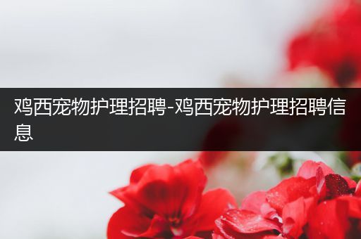 鸡西宠物护理招聘-鸡西宠物护理招聘信息