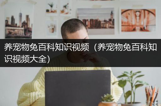 养宠物兔百科知识视频（养宠物兔百科知识视频大全）