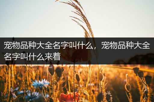 宠物品种大全名字叫什么，宠物品种大全名字叫什么来着