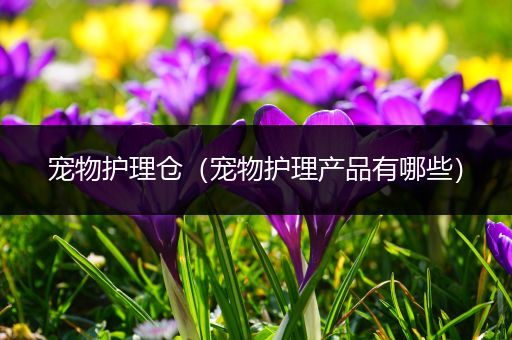 宠物护理仓（宠物护理产品有哪些）