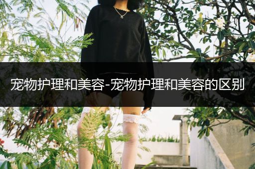 宠物护理和美容-宠物护理和美容的区别