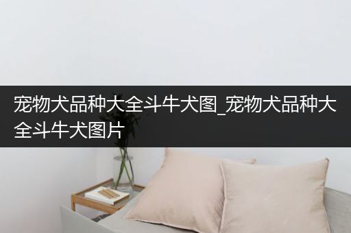 宠物犬品种大全斗牛犬图_宠物犬品种大全斗牛犬图片
