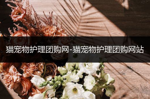 猫宠物护理团购网-猫宠物护理团购网站