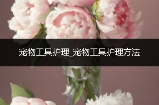 宠物工具护理_宠物工具护理方法