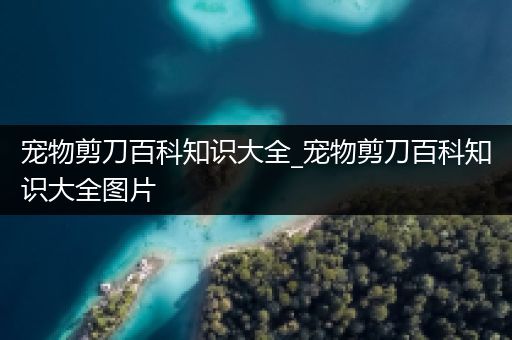 宠物剪刀百科知识大全_宠物剪刀百科知识大全图片