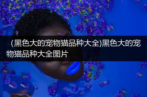 （黑色大的宠物猫品种大全)黑色大的宠物猫品种大全图片