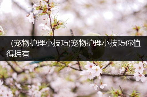 （宠物护理小技巧)宠物护理小技巧你值得拥有