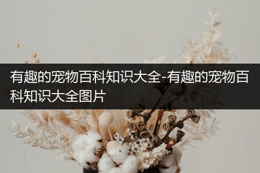 有趣的宠物百科知识大全-有趣的宠物百科知识大全图片