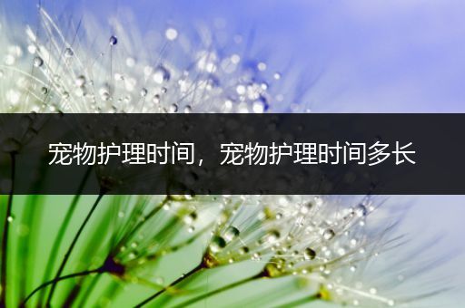 宠物护理时间，宠物护理时间多长