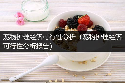 宠物护理经济可行性分析（宠物护理经济可行性分析报告）