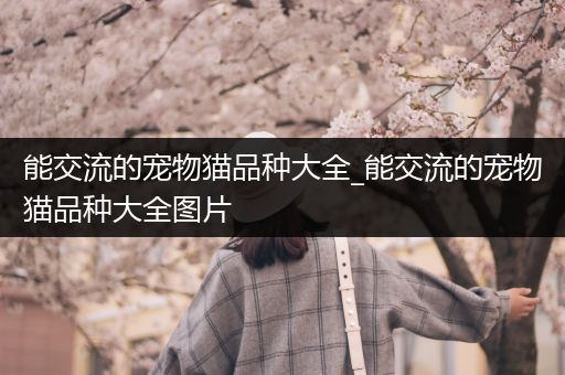 能交流的宠物猫品种大全_能交流的宠物猫品种大全图片