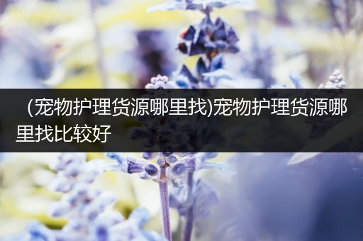 （宠物护理货源哪里找)宠物护理货源哪里找比较好