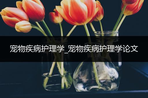 宠物疾病护理学_宠物疾病护理学论文