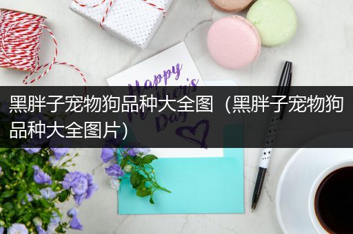 黑胖子宠物狗品种大全图（黑胖子宠物狗品种大全图片）