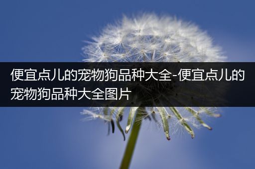 便宜点儿的宠物狗品种大全-便宜点儿的宠物狗品种大全图片