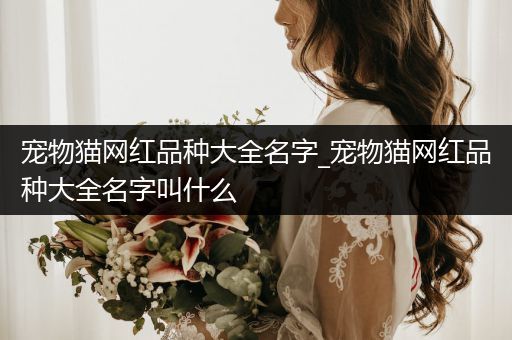 宠物猫网红品种大全名字_宠物猫网红品种大全名字叫什么