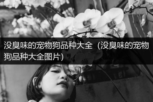 没臭味的宠物狗品种大全（没臭味的宠物狗品种大全图片）