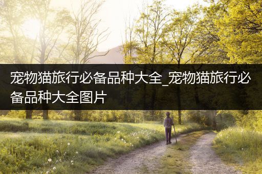 宠物猫旅行必备品种大全_宠物猫旅行必备品种大全图片