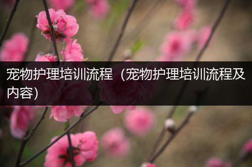 宠物护理培训流程（宠物护理培训流程及内容）