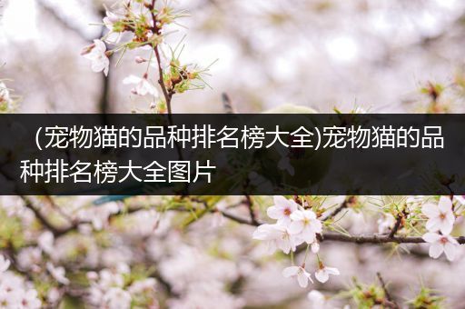 （宠物猫的品种排名榜大全)宠物猫的品种排名榜大全图片