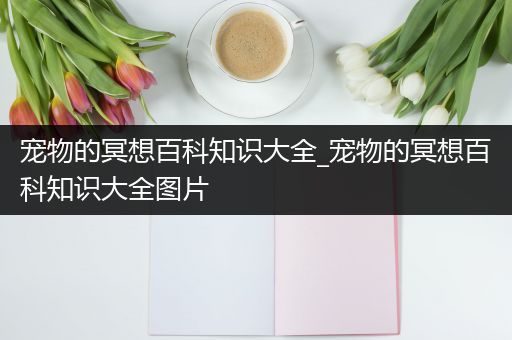 宠物的冥想百科知识大全_宠物的冥想百科知识大全图片