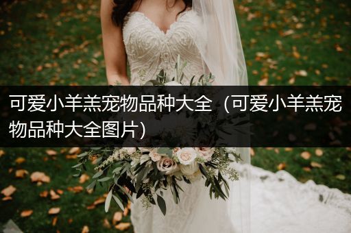 可爱小羊羔宠物品种大全（可爱小羊羔宠物品种大全图片）