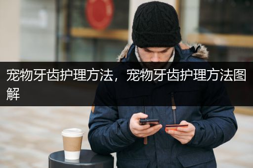 宠物牙齿护理方法，宠物牙齿护理方法图解