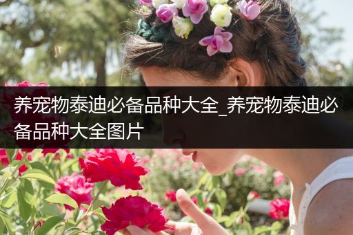 养宠物泰迪必备品种大全_养宠物泰迪必备品种大全图片