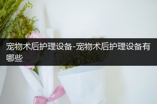 宠物术后护理设备-宠物术后护理设备有哪些