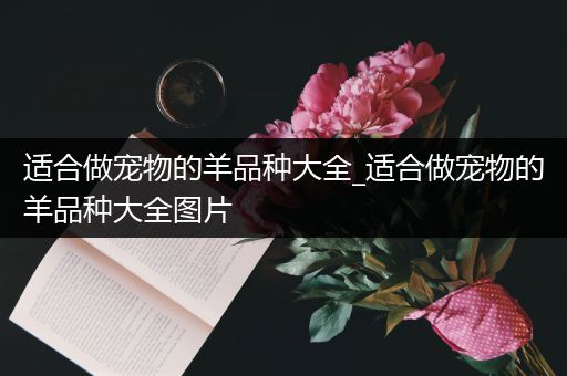 适合做宠物的羊品种大全_适合做宠物的羊品种大全图片