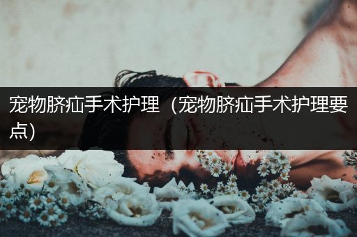 宠物脐疝手术护理（宠物脐疝手术护理要点）