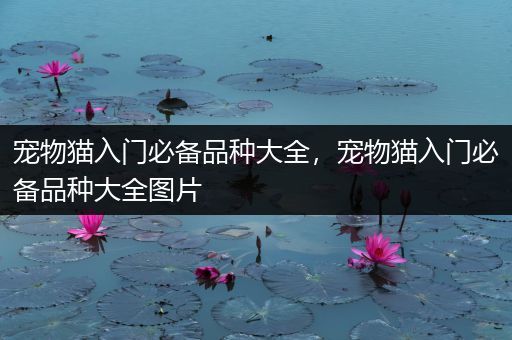 宠物猫入门必备品种大全，宠物猫入门必备品种大全图片