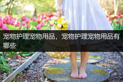 宠物护理宠物用品，宠物护理宠物用品有哪些
