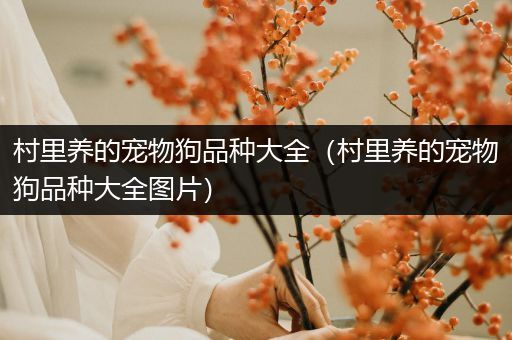 村里养的宠物狗品种大全（村里养的宠物狗品种大全图片）